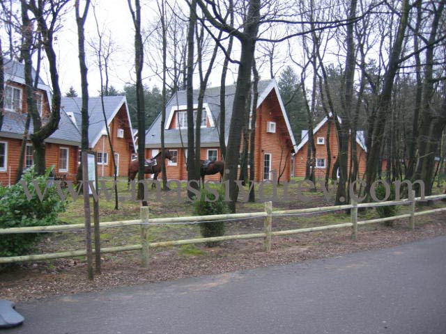 wooden log fence