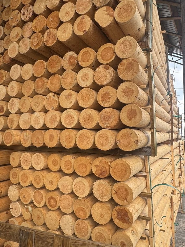 600x800.jpg